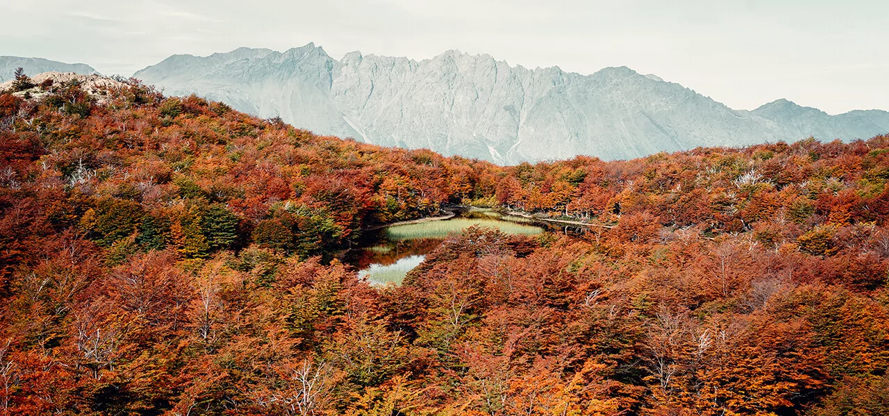 otoño en patagonia