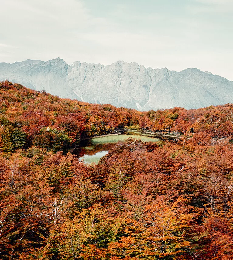 otoño en patagonia