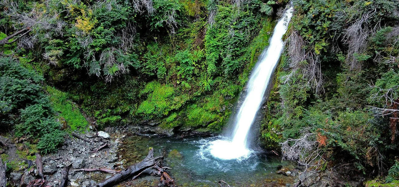 Comarca Una Cascada Corbata Blanca