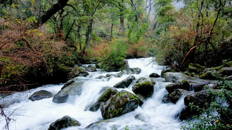 Comarca Una Cascada Corbata Blanca