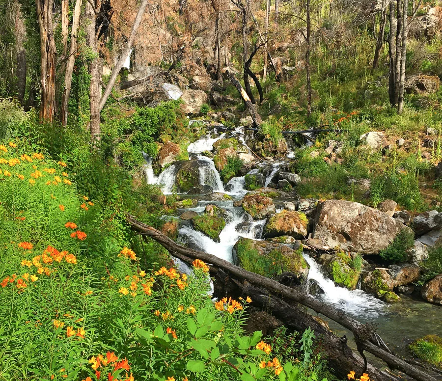 Comarca Una Cascada Corbata Blanca