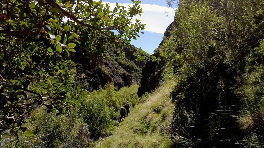 Comarca Una Cascada Invertida Cañadón de Los Maitenes