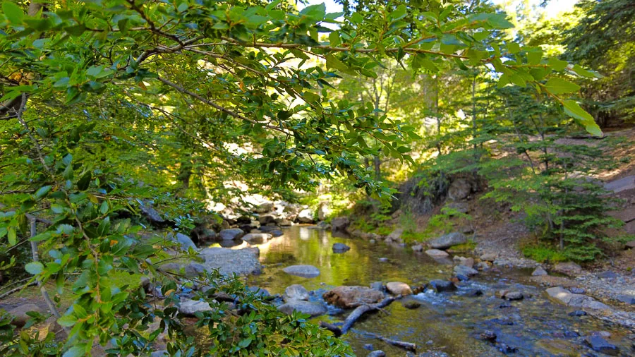 Comarca Una Cascada Tacuifi