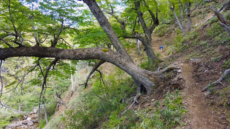 Comarca Una Cascada Tacuifi