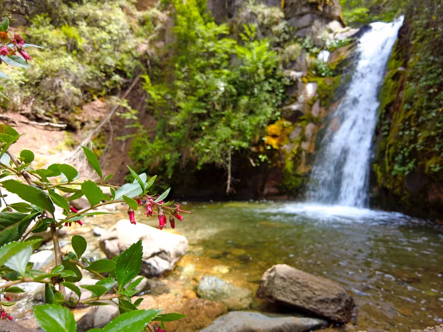 Comarca Una Cascada Tacuifi