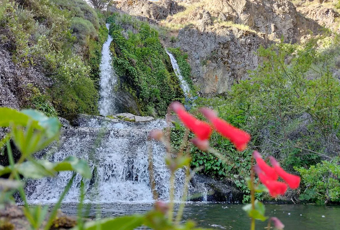 Comarca Una Cascada de Hanns