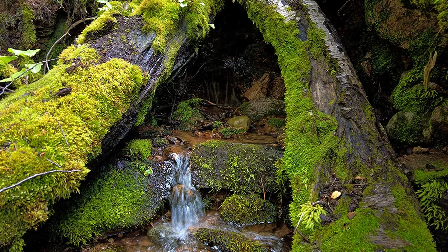 Comarca Una Cascada del Encanto