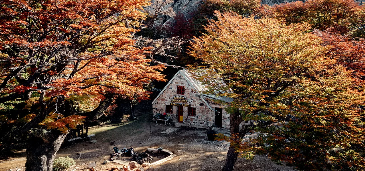 Comarca Una Refugio Cerro Lindo Ph Branko Zúñiga